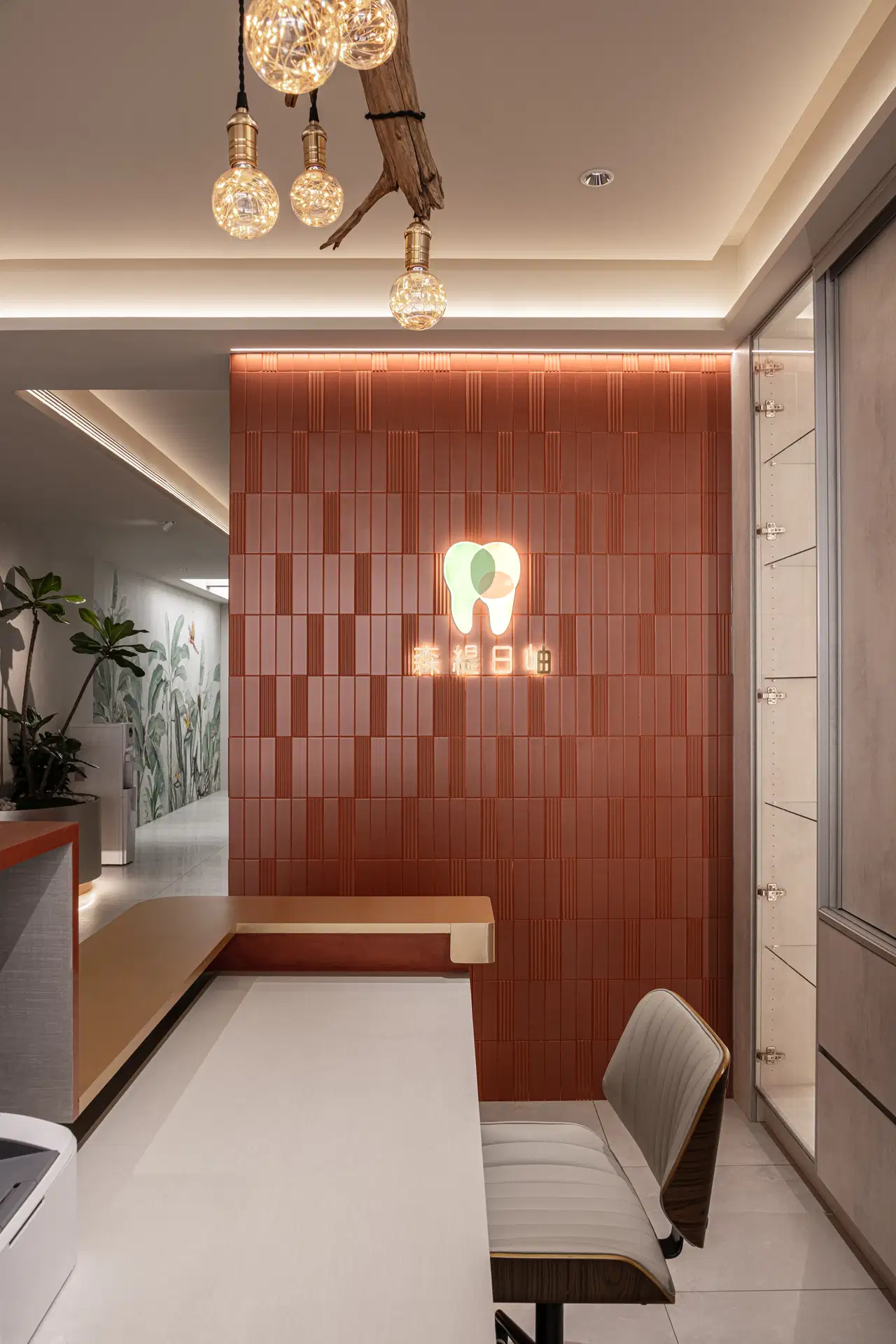 Senti Dental 17